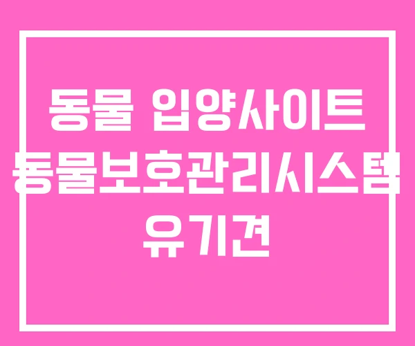 동물 입양사이트 동물보호관리시스템 유기견