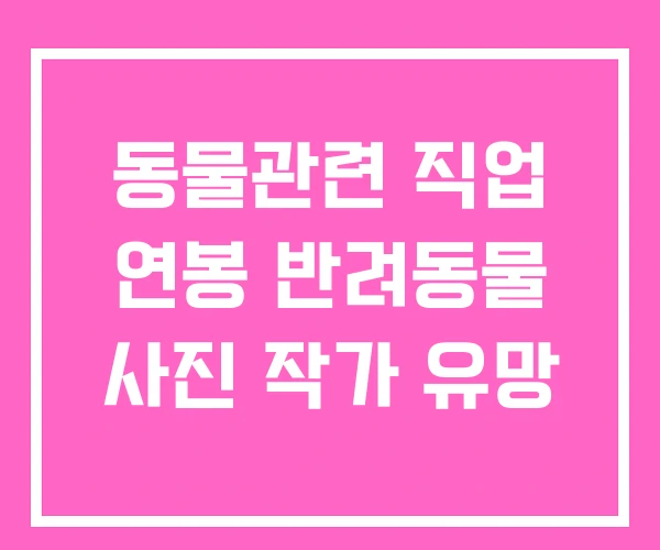 동물관련 직업 연봉 반려동물 사진 작가 유망 동물관련 직업 연봉 반려동물 사진 작가 유망