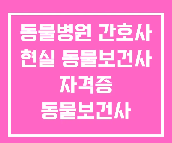 동물병원 간호사 현실 동물보건사 자격증 동물보건사 동물병원 간호사 현실 동물보건사 자격증 동물보건사
