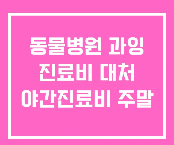 동물병원 과잉 진료비 대처 야간진료비 주말