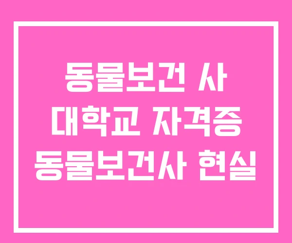 동물보건 사 대학교 자격증 동물보건사 현실 동물보건 사 대학교 자격증 동물보건사 현실