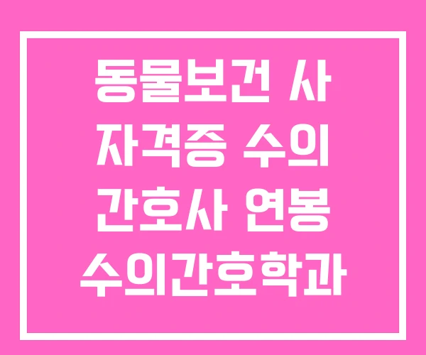 동물보건 사 자격증 수의 간호사 연봉 수의간호학과 동물보건 사 자격증 수의 간호사 연봉 수의간호학과