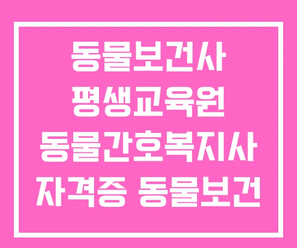 동물보건사 평생교육원 동물간호복지사 자격증 동물보건 동물보건사 평생교육원 동물간호복지사 자격증 동물보건