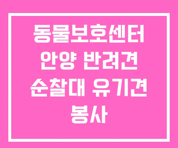 동물보호센터 안양 반려견 순찰대 유기견 봉사 동물보호센터 안양 반려견 순찰대 유기견 봉사