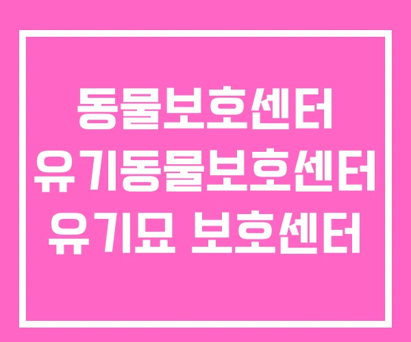 동물보호센터 유기동물보호센터 유기묘 보호센터