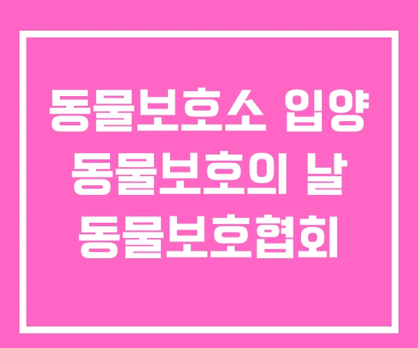 동물보호소 입양 동물보호의 날 동물보호협회