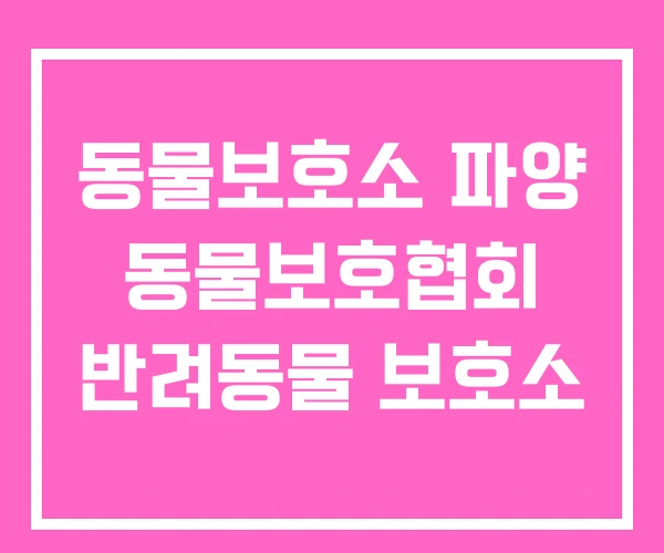 동물보호소 파양 동물보호협회 반려동물 보호소