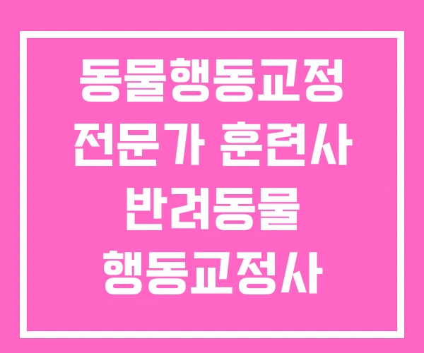 동물행동교정 전문가 훈련사 반려동물 행동교정사