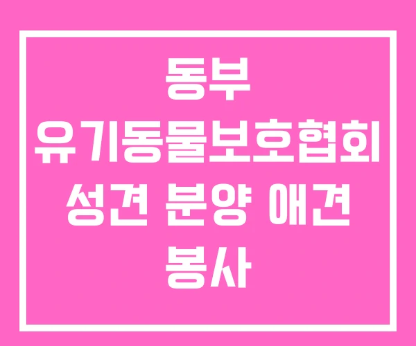 동부 유기동물보호협회 성견 분양 애견 봉사 동부 유기동물보호협회 성견 분양 애견 봉사