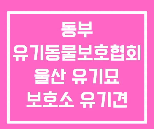 동부 유기동물보호협회 울산 유기묘 보호소 유기견 동부 유기동물보호협회 울산 유기묘 보호소 유기견