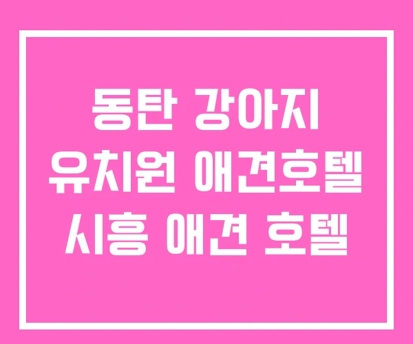 동탄 강아지 유치원 애견호텔 시흥 애견 호텔 동탄 강아지 유치원 애견호텔 시흥 애견 호텔