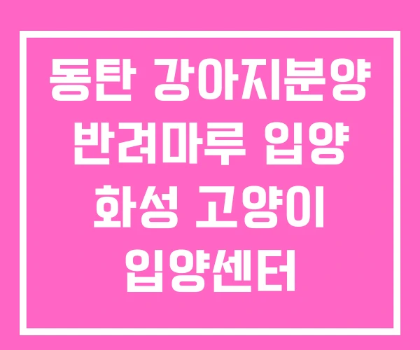 동탄 강아지분양 반려마루 입양 화성 고양이 입양센터 동탄 강아지분양 반려마루 입양 화성 고양이 입양센터