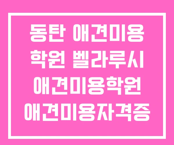 동탄 애견미용 학원 벨라루시 애견미용학원 애견미용자격증 동탄 애견미용 학원 벨라루시 애견미용학원 애견미용자격증