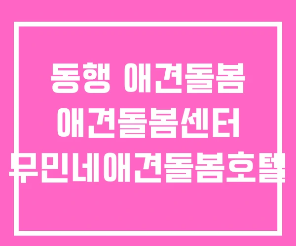 동행 애견돌봄 애견돌봄센터 무민네애견돌봄호텔 동행 애견돌봄 애견돌봄센터 무민네애견돌봄호텔