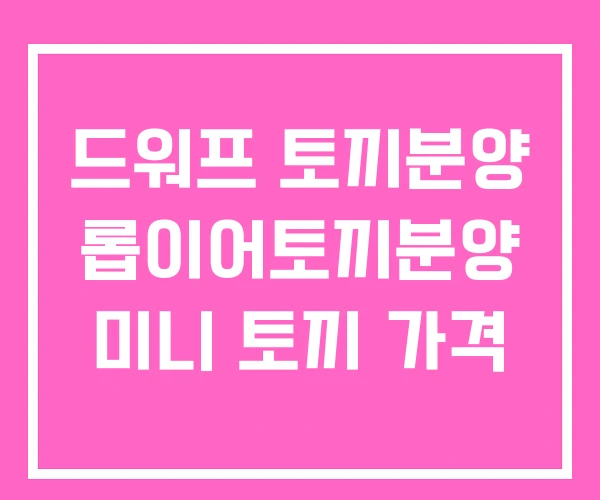 드워프 토끼분양 롭이어토끼분양 미니 토끼 가격 드워프 토끼분양 롭이어토끼분양 미니 토끼 가격
