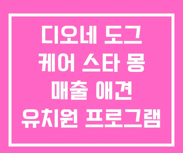 디오네 도그 케어 스타 몽 매출 애견 유치원 프로그램 디오네 도그 케어 스타 몽 매출 애견 유치원 프로그램