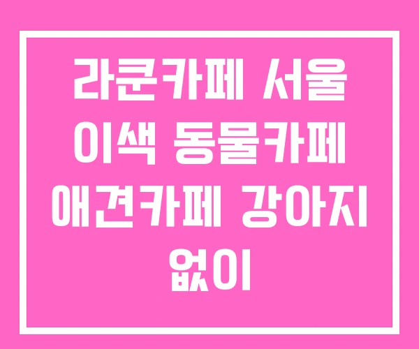 라쿤카페 서울 이색 동물카페 애견카페 강아지 없이
