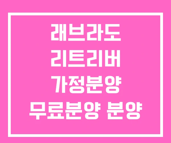 래브라도 리트리버 가정분양 무료분양 분양 가격 래브라도 리트리버 가정분양 무료분양 분양 가격