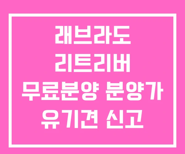 래브라도 리트리버 무료분양 분양가 유기견 신고 새벽 래브라도 리트리버 무료분양 분양가 유기견 신고 새벽
