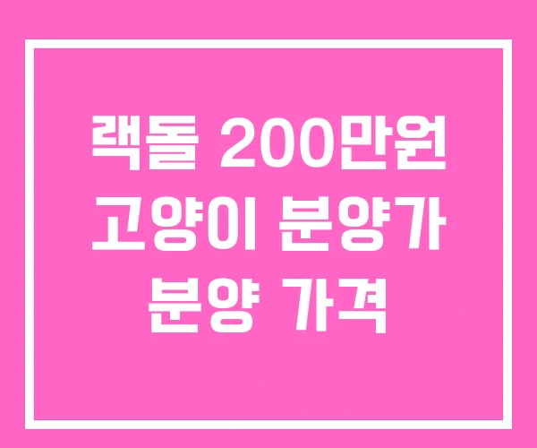 랙돌 200만원 고양이 분양가 분양 가격 랙돌 200만원 고양이 분양가 분양 가격