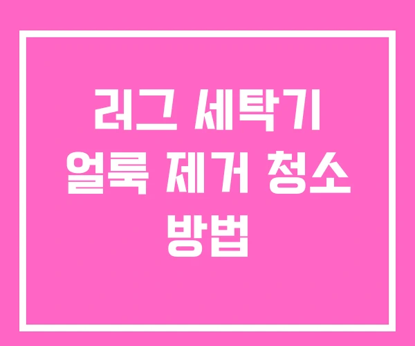 러그 세탁기 얼룩 제거 청소 방법
