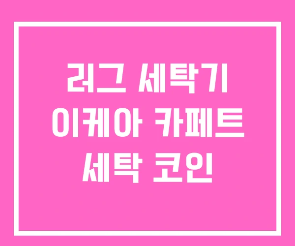 러그 세탁기 이케아 카페트 세탁 코인 러그 세탁기 이케아 카페트 세탁 코인