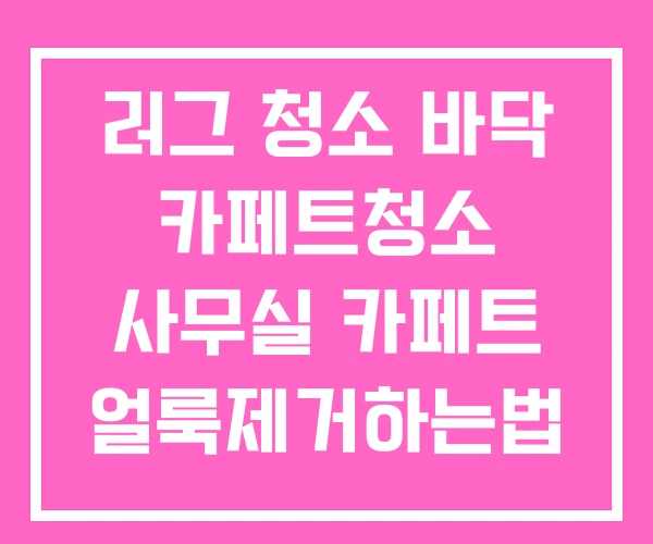 러그 청소 바닥 카페트청소 사무실 카페트 얼룩제거하는법 러그 청소 바닥 카페트청소 사무실 카페트 얼룩제거하는법