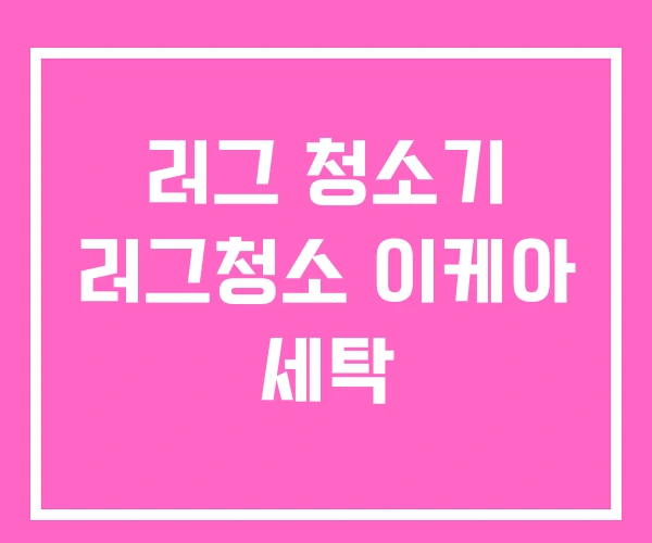 러그 청소기 러그청소 이케아 세탁