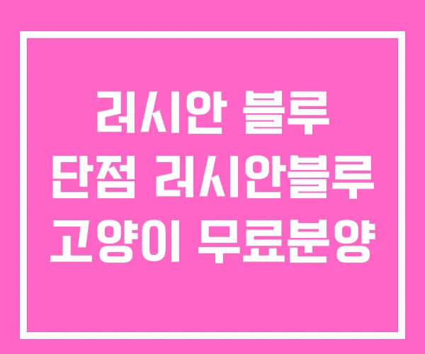 러시안 블루 단점 러시안블루 고양이 무료분양
