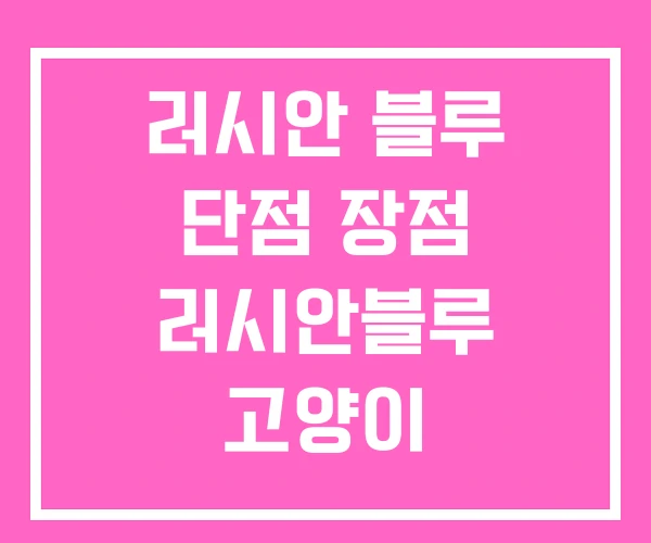 러시안 블루 단점 장점 러시안블루 고양이