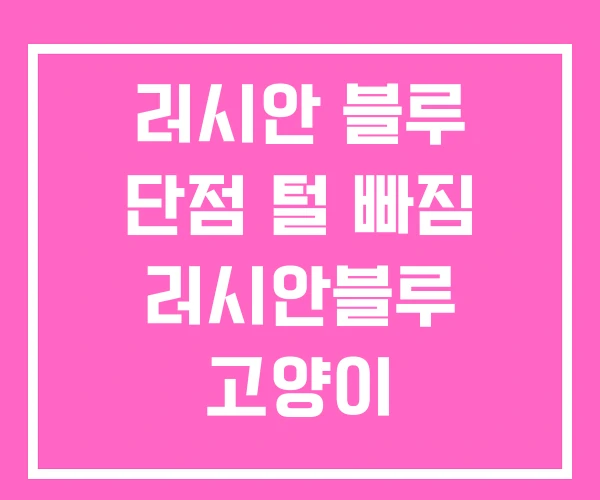 러시안 블루 단점 털 빠짐 러시안블루 고양이