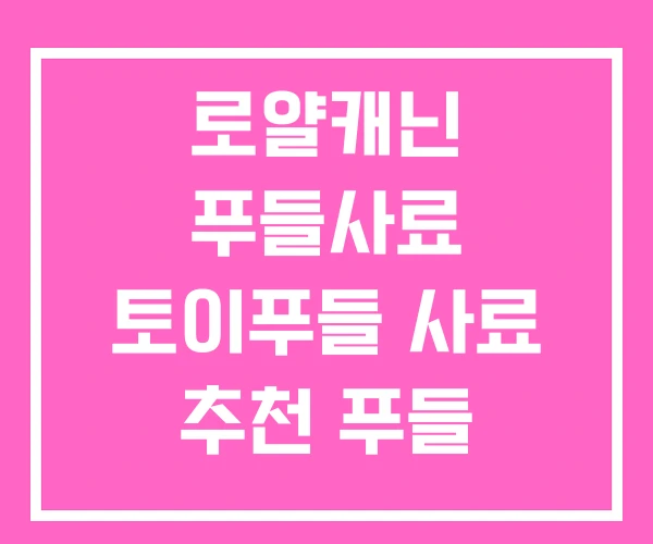 로얄캐닌 푸들사료 토이푸들 사료 추천 푸들 강아지