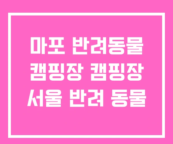 마포 반려동물 캠핑장 캠핑장 서울 반려 동물 마포 반려동물 캠핑장 캠핑장 서울 반려 동물