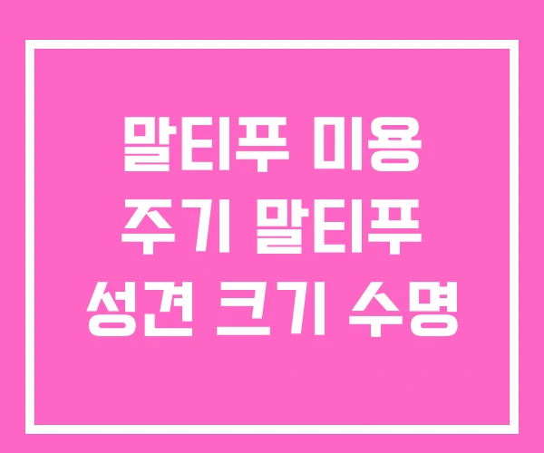 말티푸 미용 주기 말티푸 성견 크기 수명