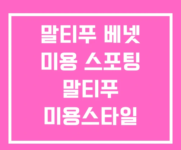 말티푸 베넷 미용 스포팅 말티푸 미용스타일
