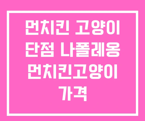 먼치킨 고양이 단점 나폴레옹 먼치킨고양이 가격 먼치킨 고양이 단점 나폴레옹 먼치킨고양이 가격