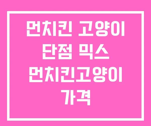 먼치킨 고양이 단점 믹스 먼치킨고양이 가격