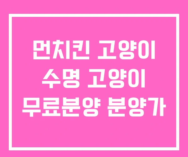 먼치킨 고양이 수명 고양이 무료분양 분양가