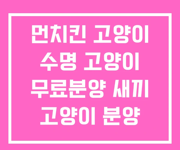 먼치킨 고양이 수명 고양이 무료분양 새끼 고양이 분양 가격 먼치킨 고양이 수명 고양이 무료분양 새끼 고양이 분양 가격
