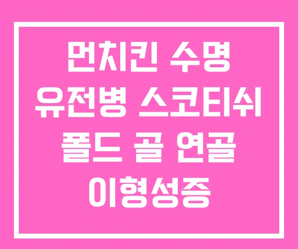 먼치킨 수명 유전병 스코티쉬 폴드 골 연골 이형성증