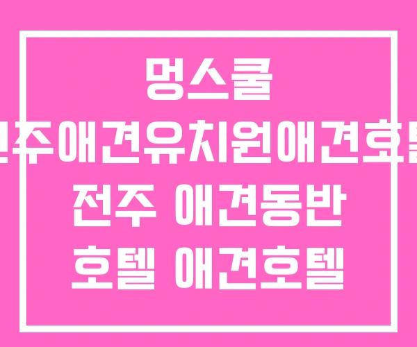 멍스쿨 전주애견유치원애견호텔 전주 애견동반 호텔 애견호텔 멍스쿨 전주애견유치원애견호텔 전주 애견동반 호텔 애견호텔