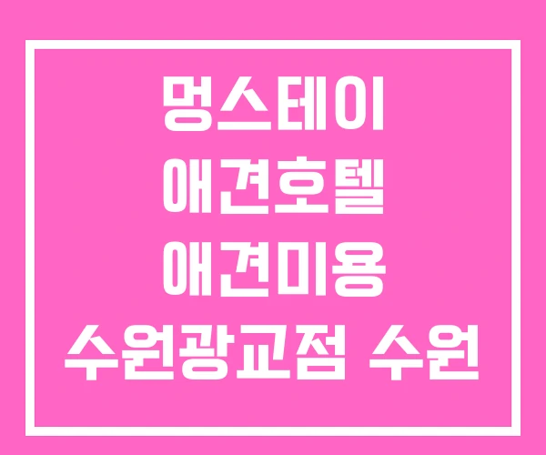 멍스테이 애견호텔 애견미용 수원광교점 수원 애견동반 호텔