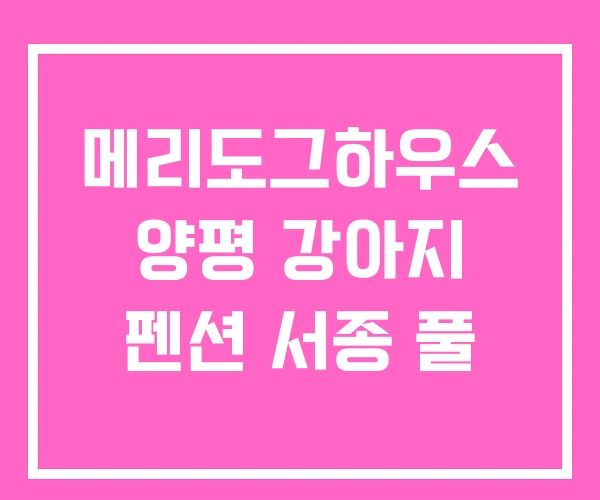 메리도그하우스 양평 강아지 펜션 서종 풀