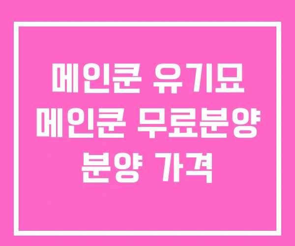 메인쿤 유기묘 메인쿤 무료분양 분양 가격