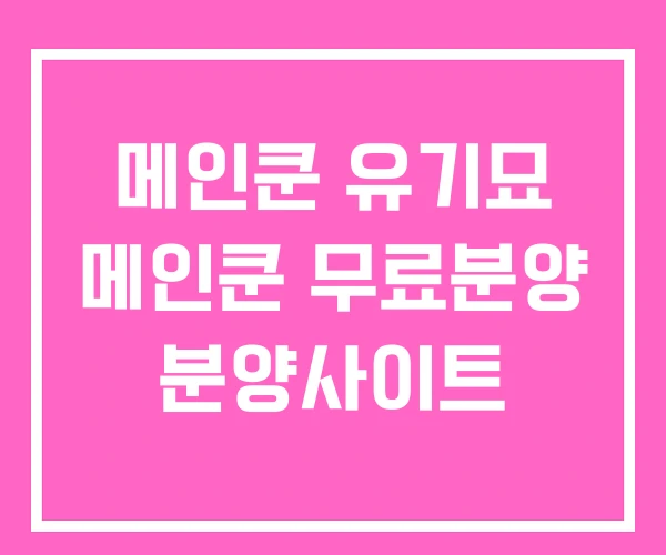 메인쿤 유기묘 메인쿤 무료분양 분양사이트 메인쿤 유기묘 메인쿤 무료분양 분양사이트
