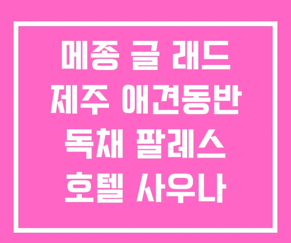 메종 글 래드 제주 애견동반 독채 팔레스 호텔 사우나 메종 글 래드 제주 애견동반 독채 팔레스 호텔 사우나