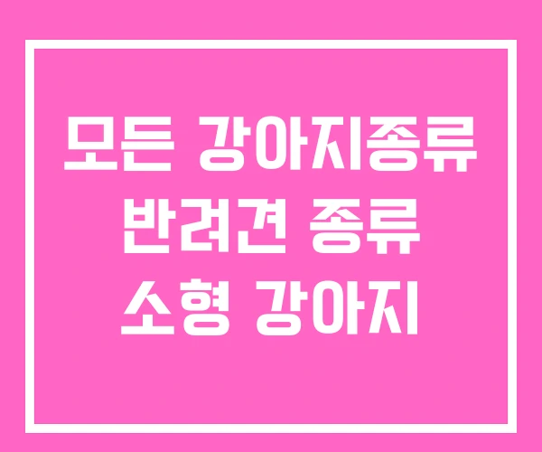 모든 강아지종류 반려견 종류 소형 강아지