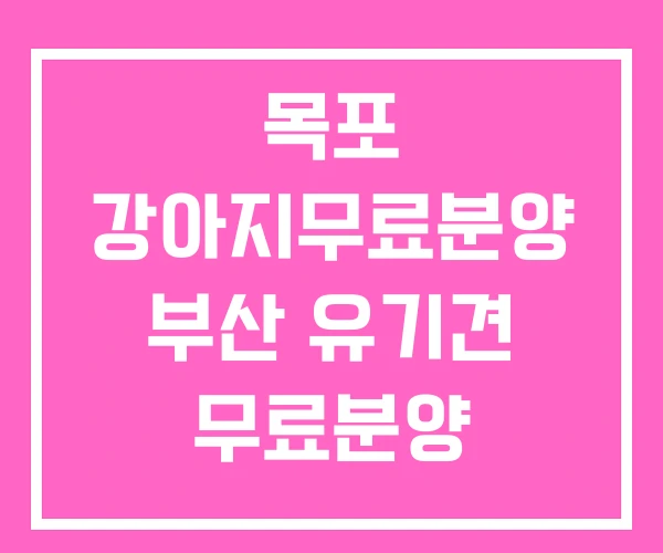 목포 강아지무료분양 부산 유기견 무료분양 웰시코기 무료분양