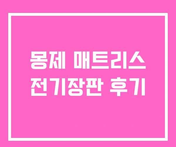 몽제 매트리스 전기장판 후기