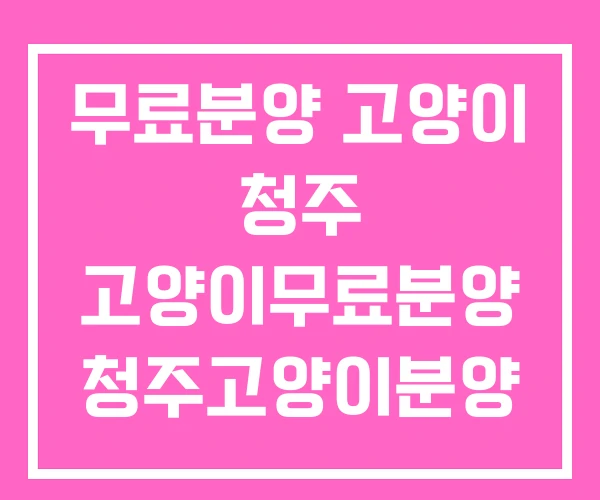 무료분양 고양이 청주 고양이무료분양 청주고양이분양